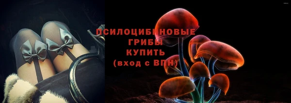 кокс Михайлов