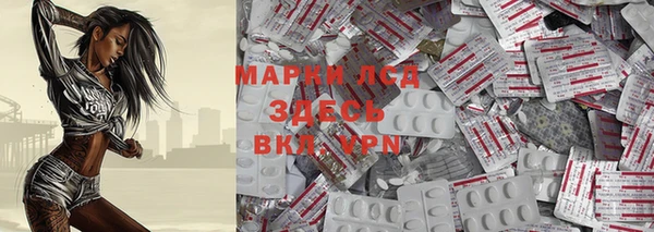 гашик Болохово