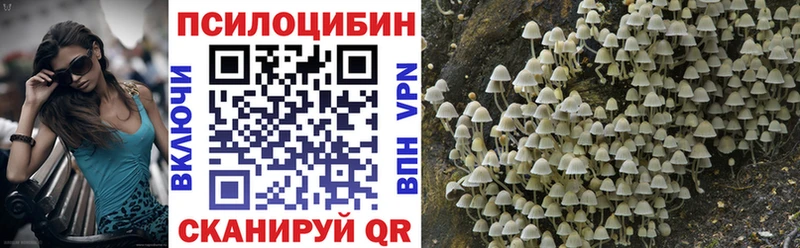 Галлюциногенные грибы Psilocybine cubensis  Оленегорск 