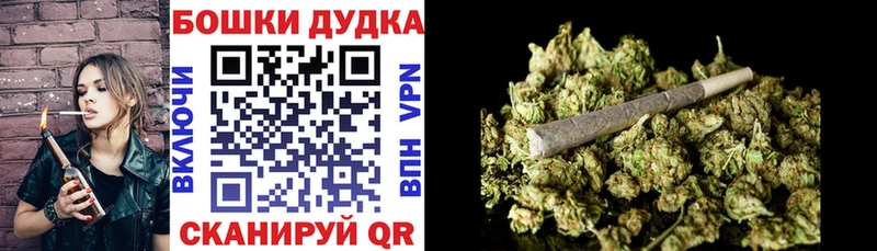 Канабис White Widow  как найти закладки  Оленегорск 